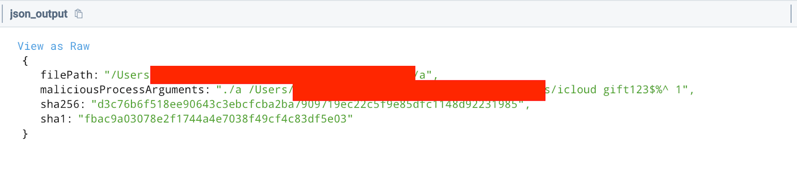 Command arguments captured by the IONSEC CTH service