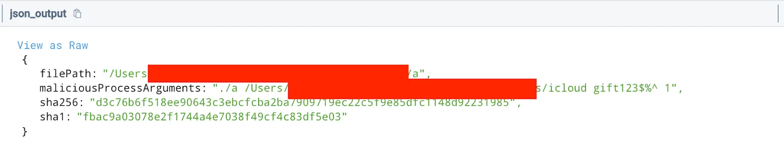 Command arguments captured by the IONSEC CTH service