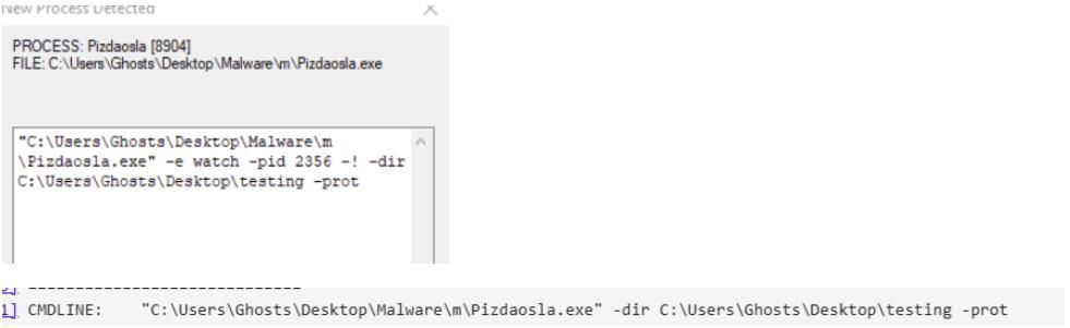 cmdwatcher holding a newly created process so its command line can be inspected
